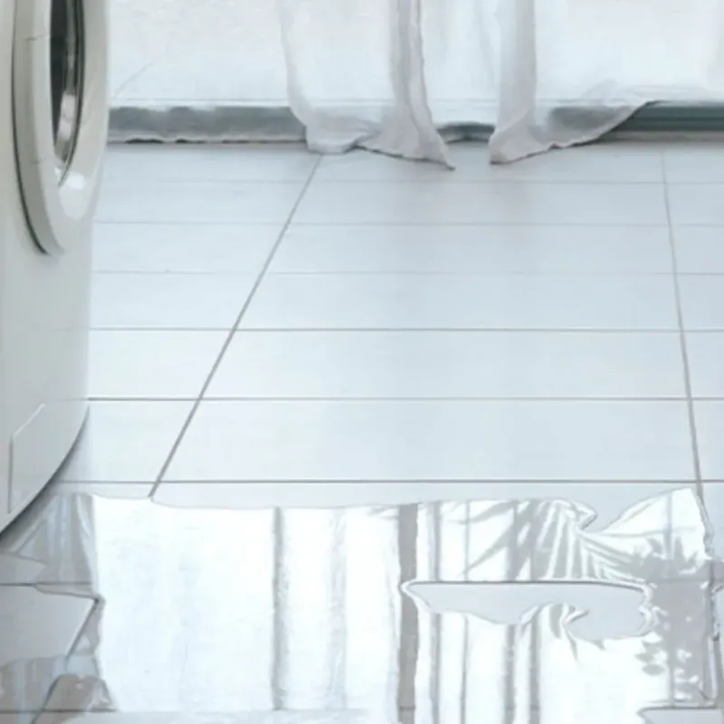 Appliance Leak Cleanup in Dundee, FL