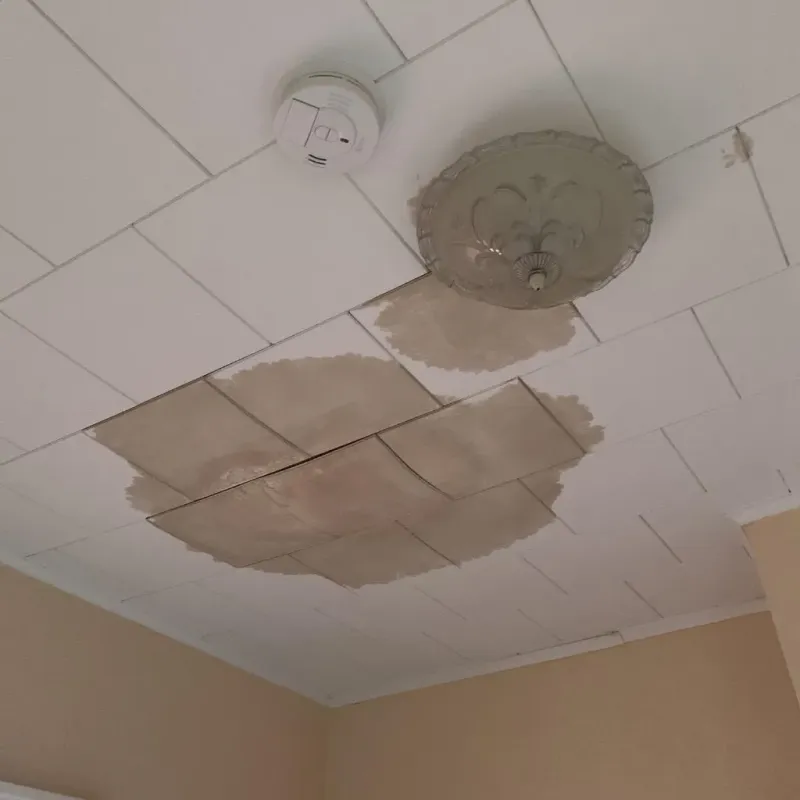 Ceiling Water Damage Repair in Dundee, FL