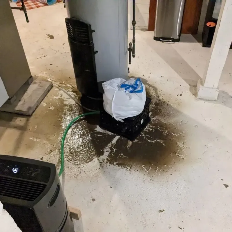 Sewage Backup Cleanup Service in Dundee, FL